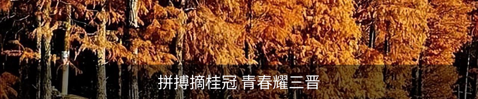 内页banner